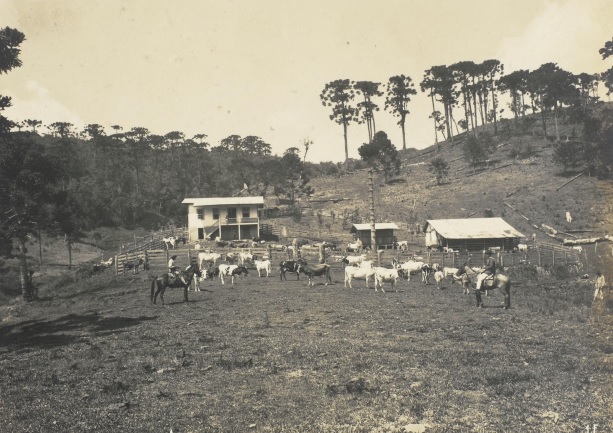 Fazenda no interior de São Paulo, início do século XX
