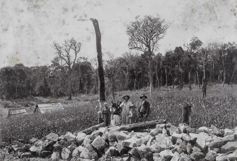 Plantação de cevada em Iguaçu, Núcleo Colonial Vera Guarani, Paraná, 1910. Fotografia de Amador E. Saporski