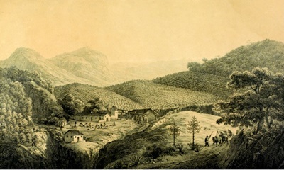 Cultura do café entre as cidades de Magé e Montes, Serra dos Órgãos, imagem do livro Flora brasiliensis, de Karl F. P. Von Martius, produzido entre 1840 e 1906.